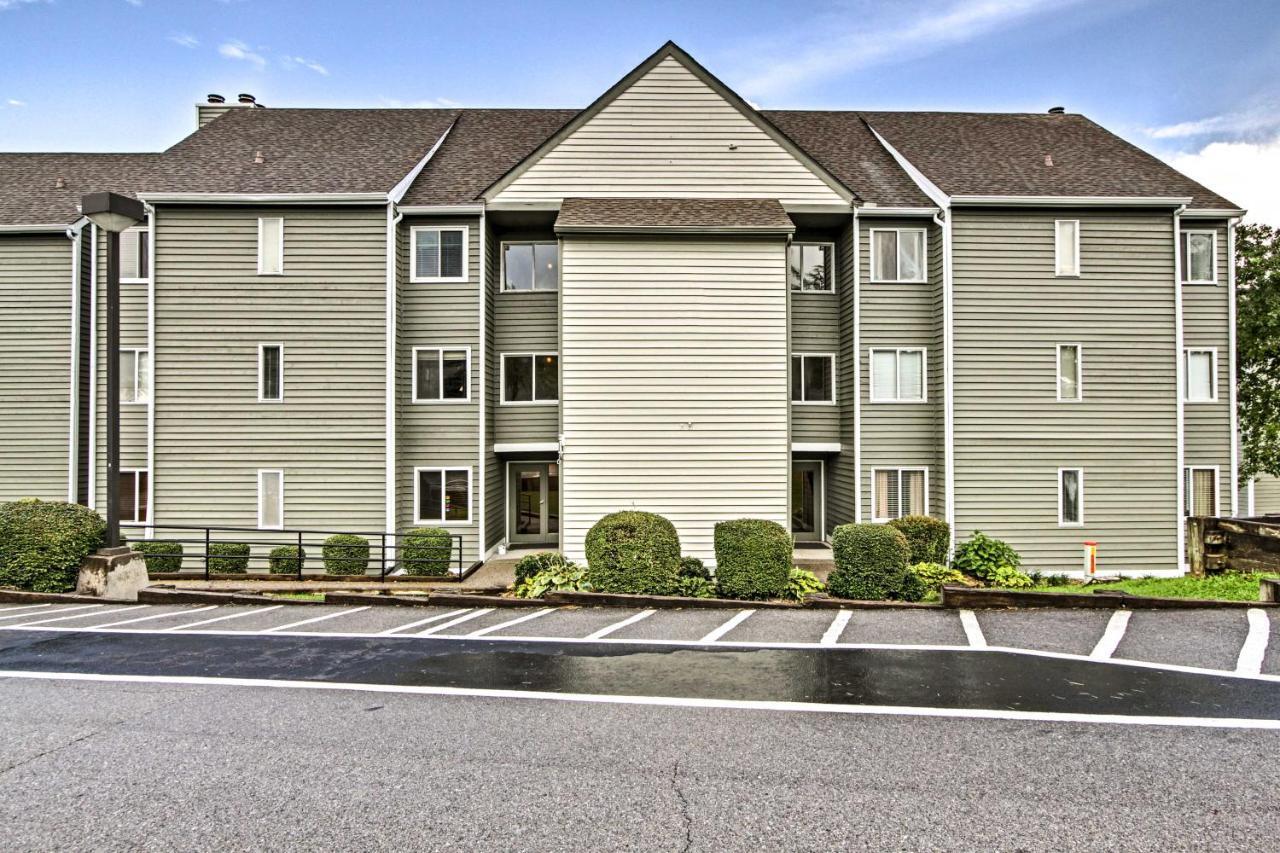 Bears Den In The Sky Condo Less Than 4 Mi To ガトリンバーグ エクステリア 写真